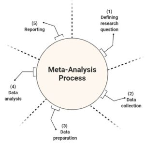 Meta-Analysis Services | Expert Biostatistical Support for Research
